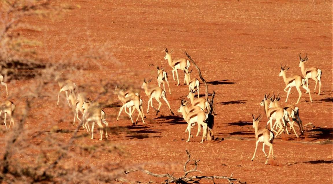 شقة Aranos Kalahariland Guest Farm المظهر الخارجي الصورة